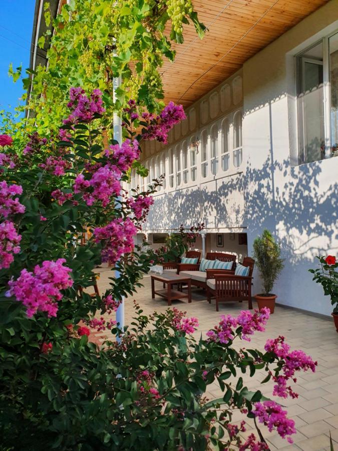 Nazy's Guest House Joqolo Extérieur photo